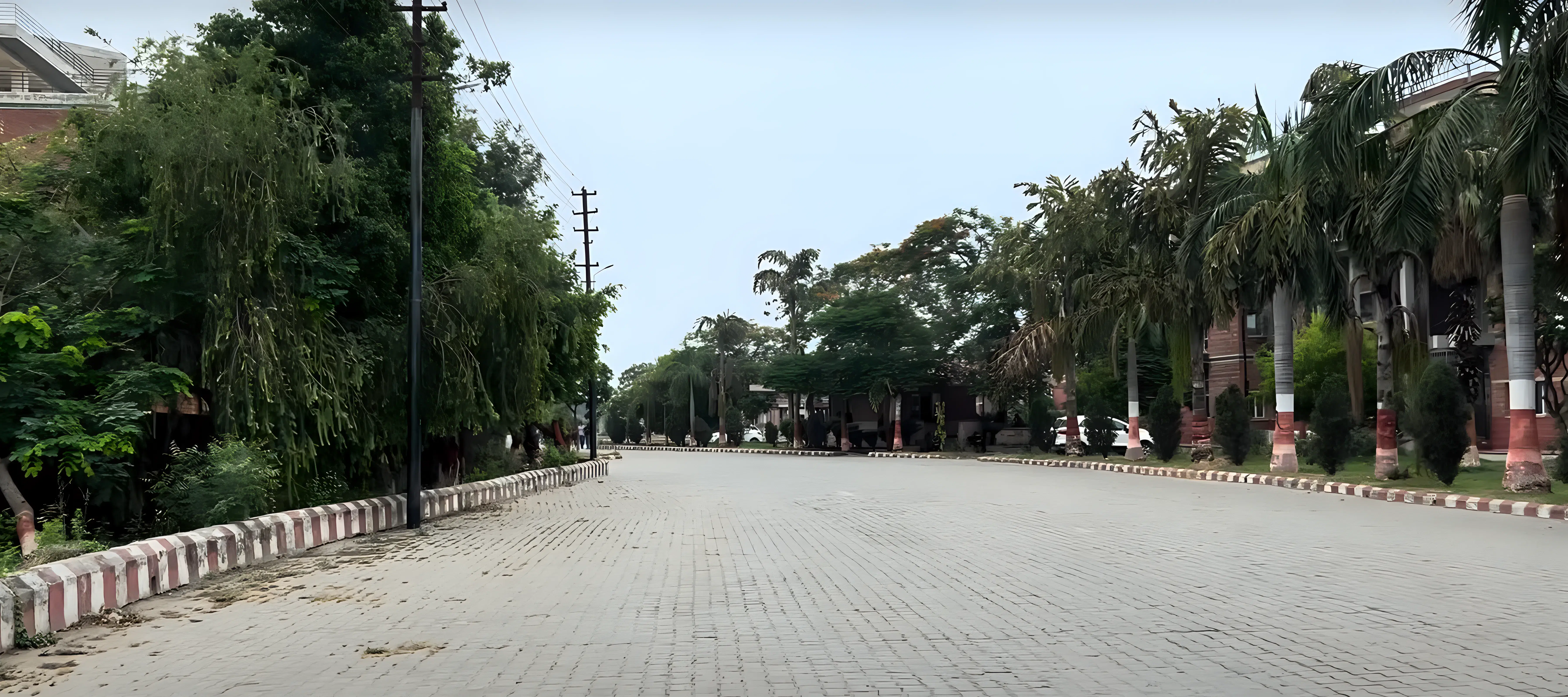 Vidya University Campus photo 9